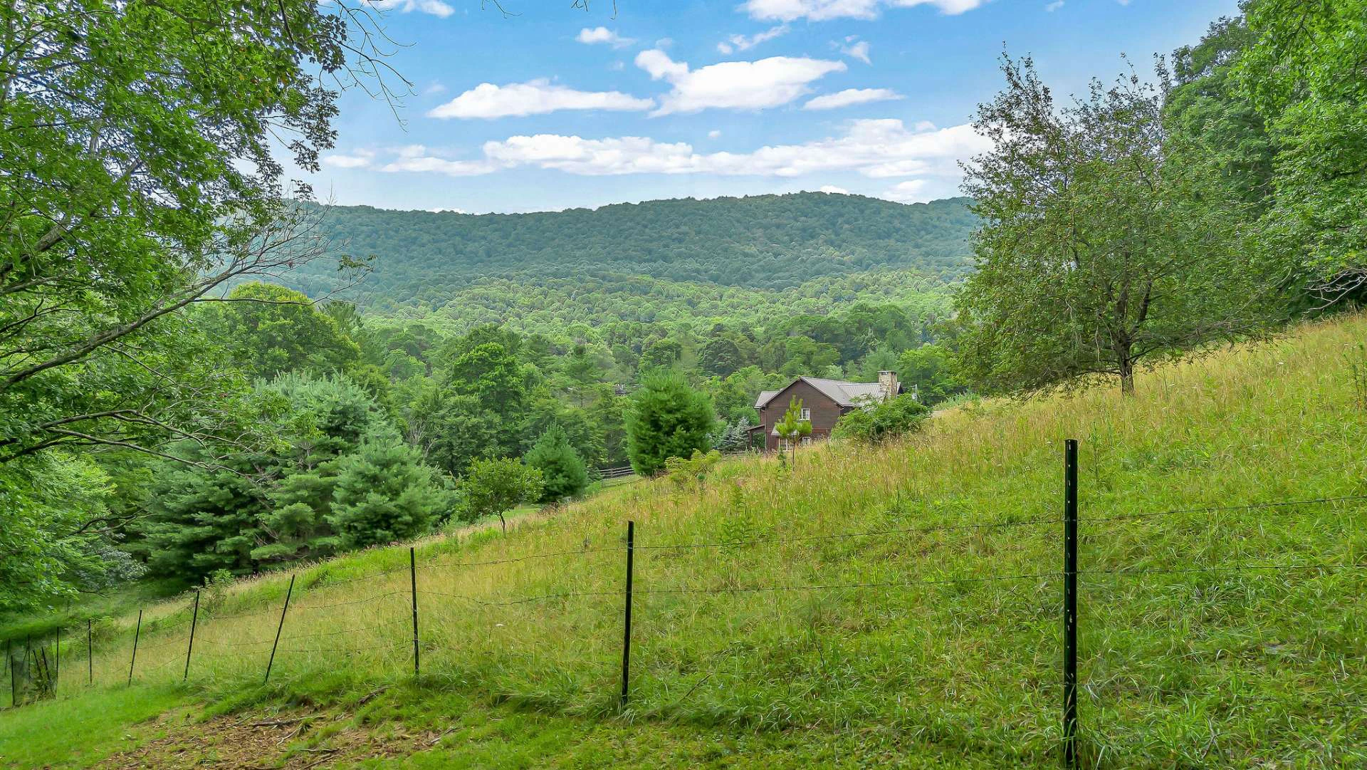Image number 21 for the current listing